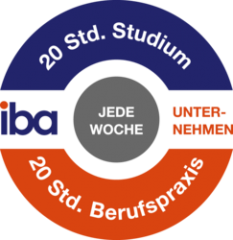 Das Studienkonzept Das Studienkonzept